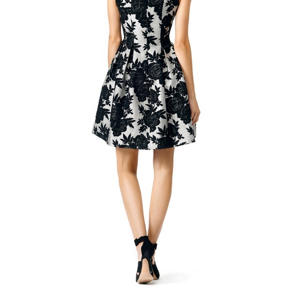 NWOT Jacquard Silver Black Gray Dress - Picture 3 of 4